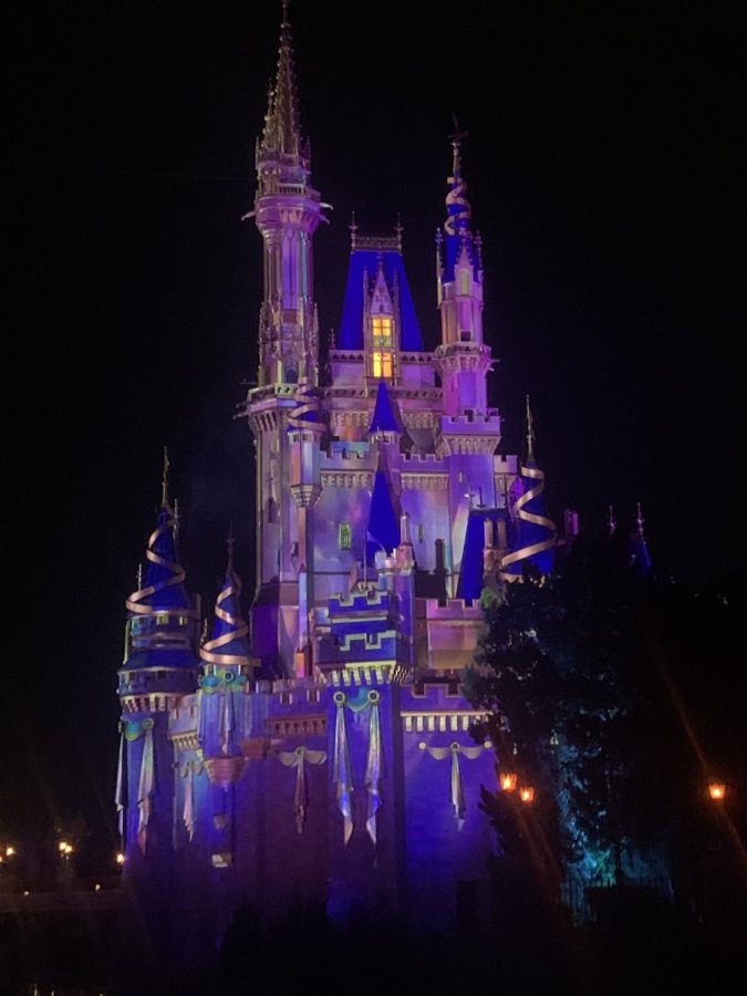 The Disney Castle lit up by lights at night in the park.