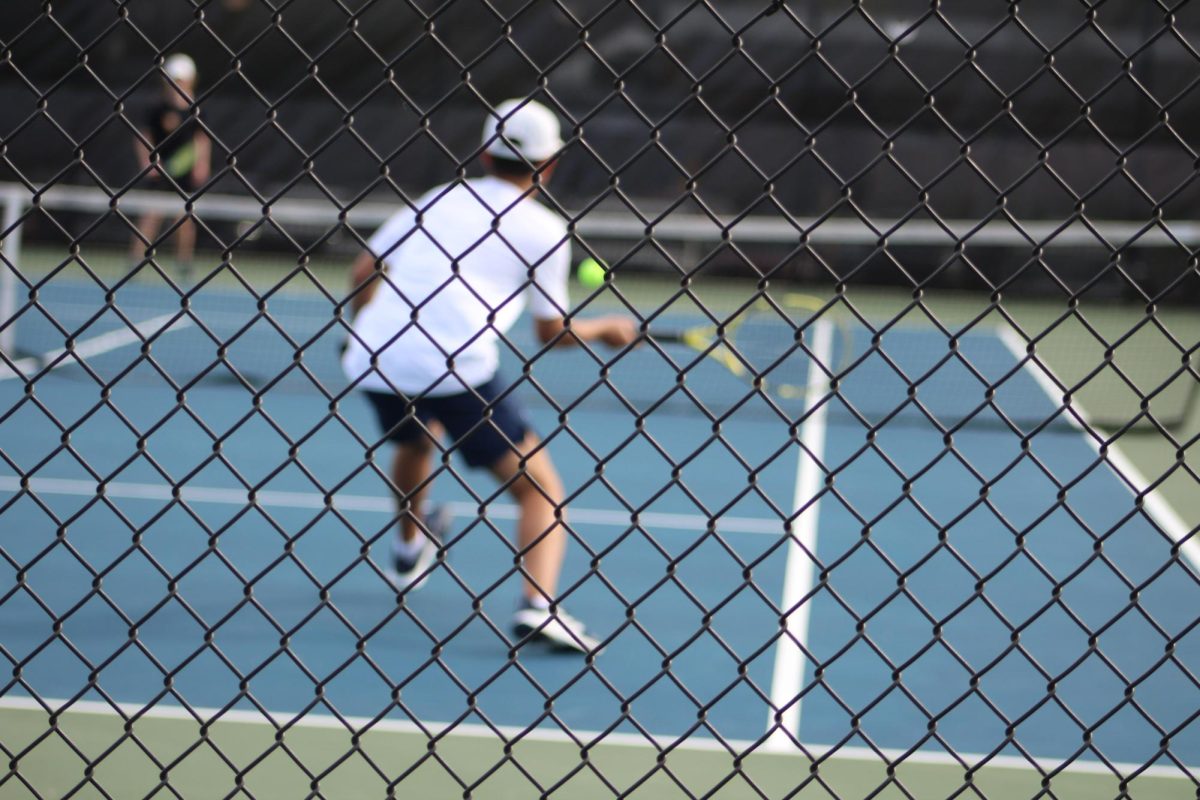 Alex Organ hits the ball over the net and gets a point. 