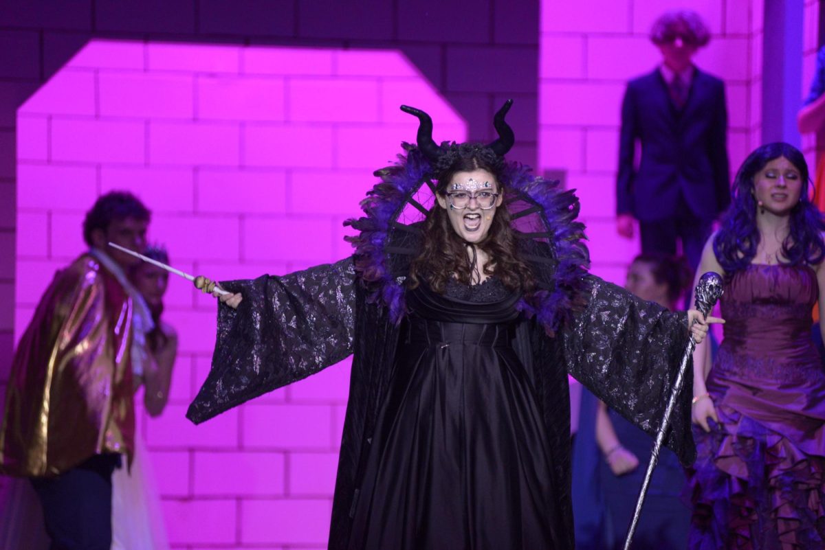 'Descendants' dazzles audience