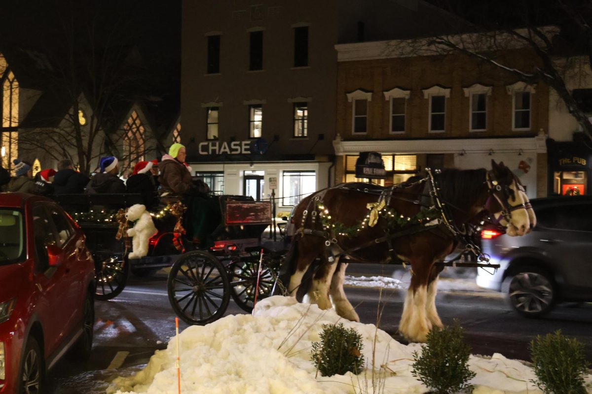 People enjoy the lights as they get carried across town in the horse carriage.
