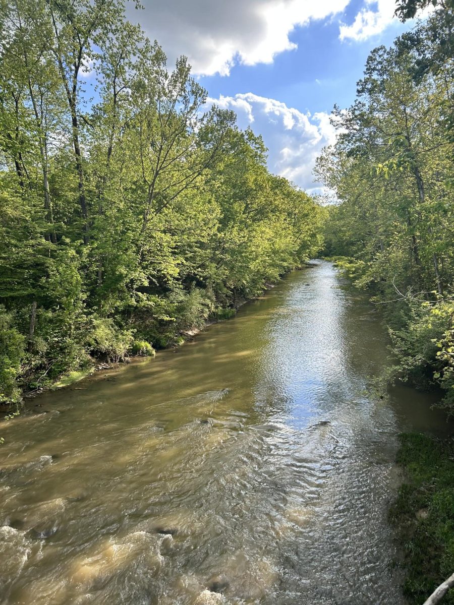 Raccoon Creek pictured on a nice spring day
