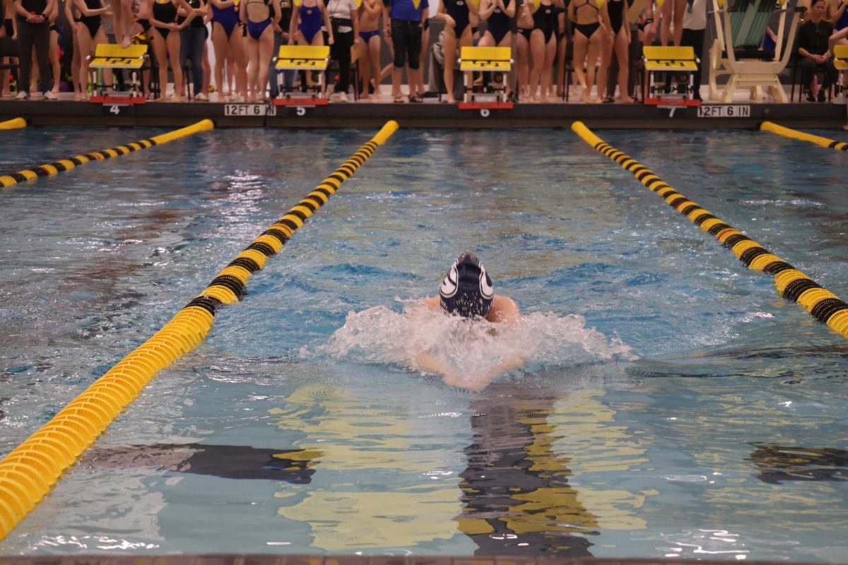 Grace Largent swims the breast stroke during the Jan. 9 swim meet at Upper Arlington.. She swam well and had fun. 