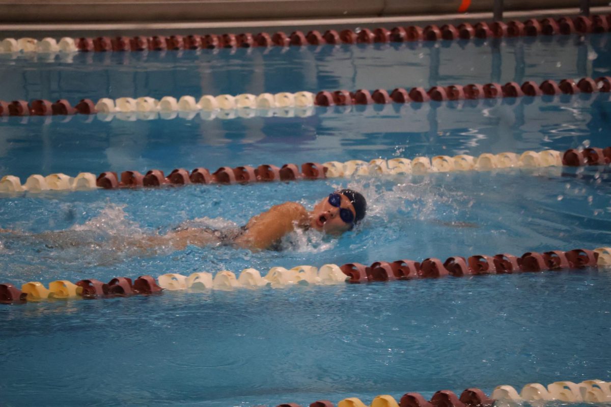 Sophomore Julia Sanchez swims the freestyle at her meet. She had a strong finish. 