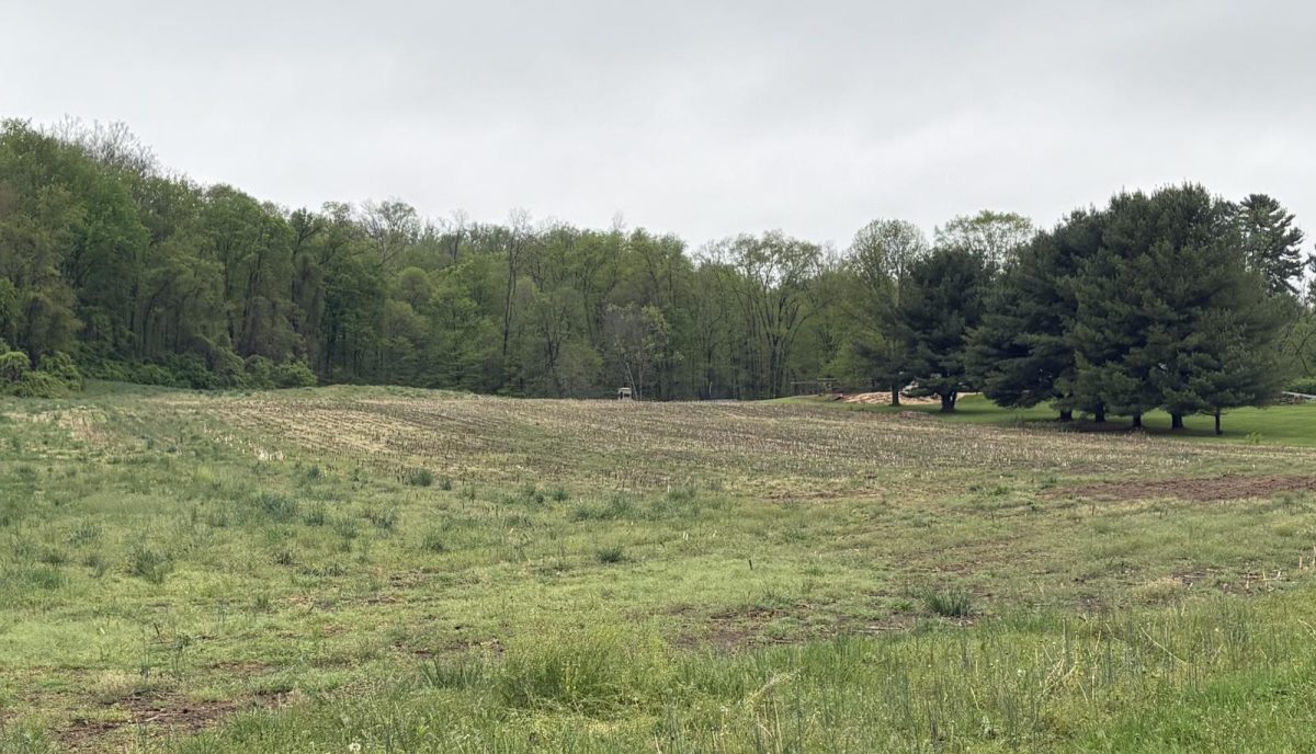 The field near school property on new burg street that is causing the smell.