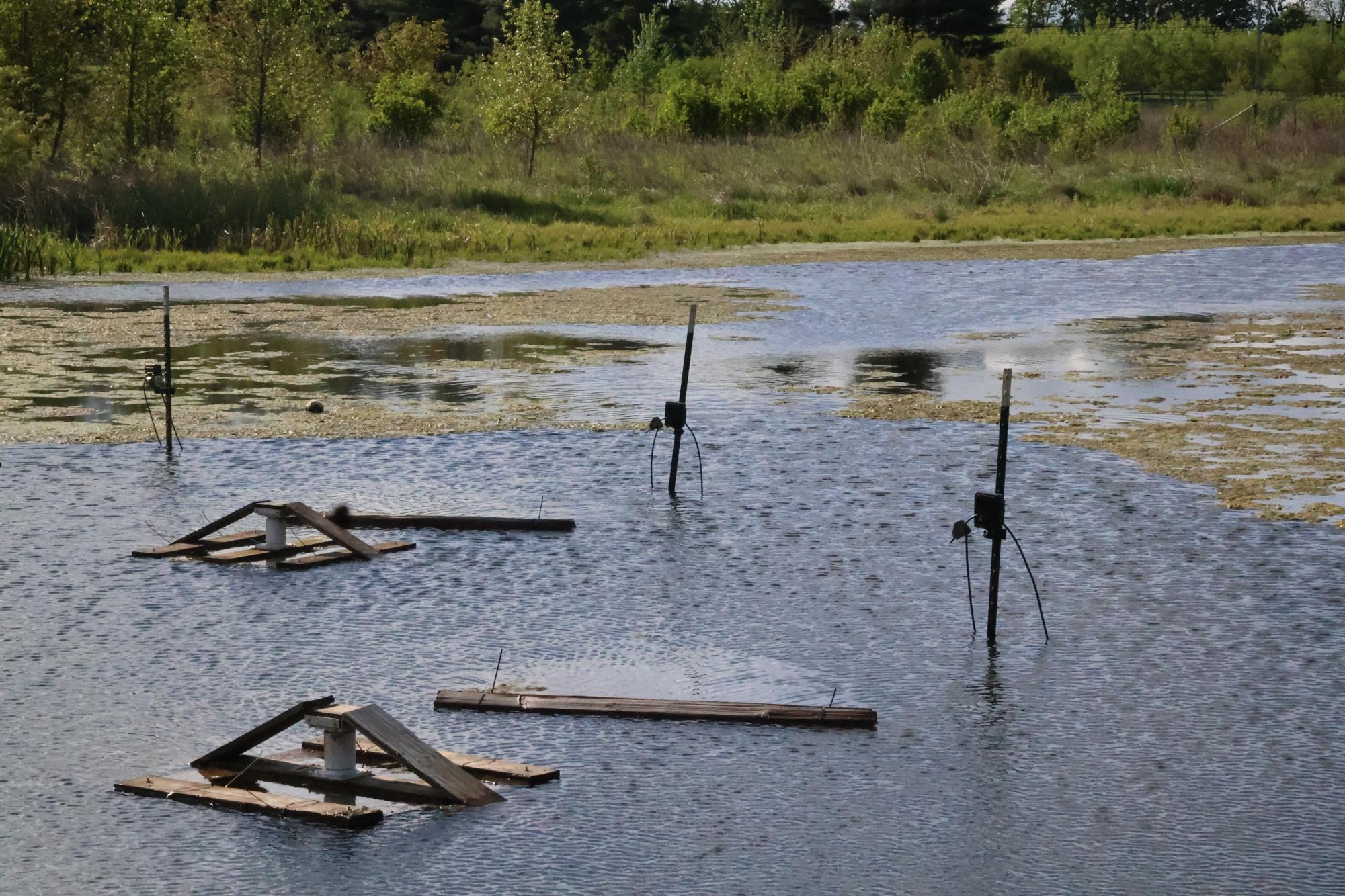 The 1st Study Pond