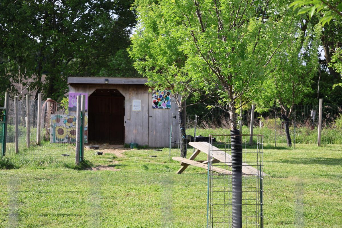 This is the "Farm" of the Land Lab, this has been developed, over the years to have many animals and different farm animals for students to study.