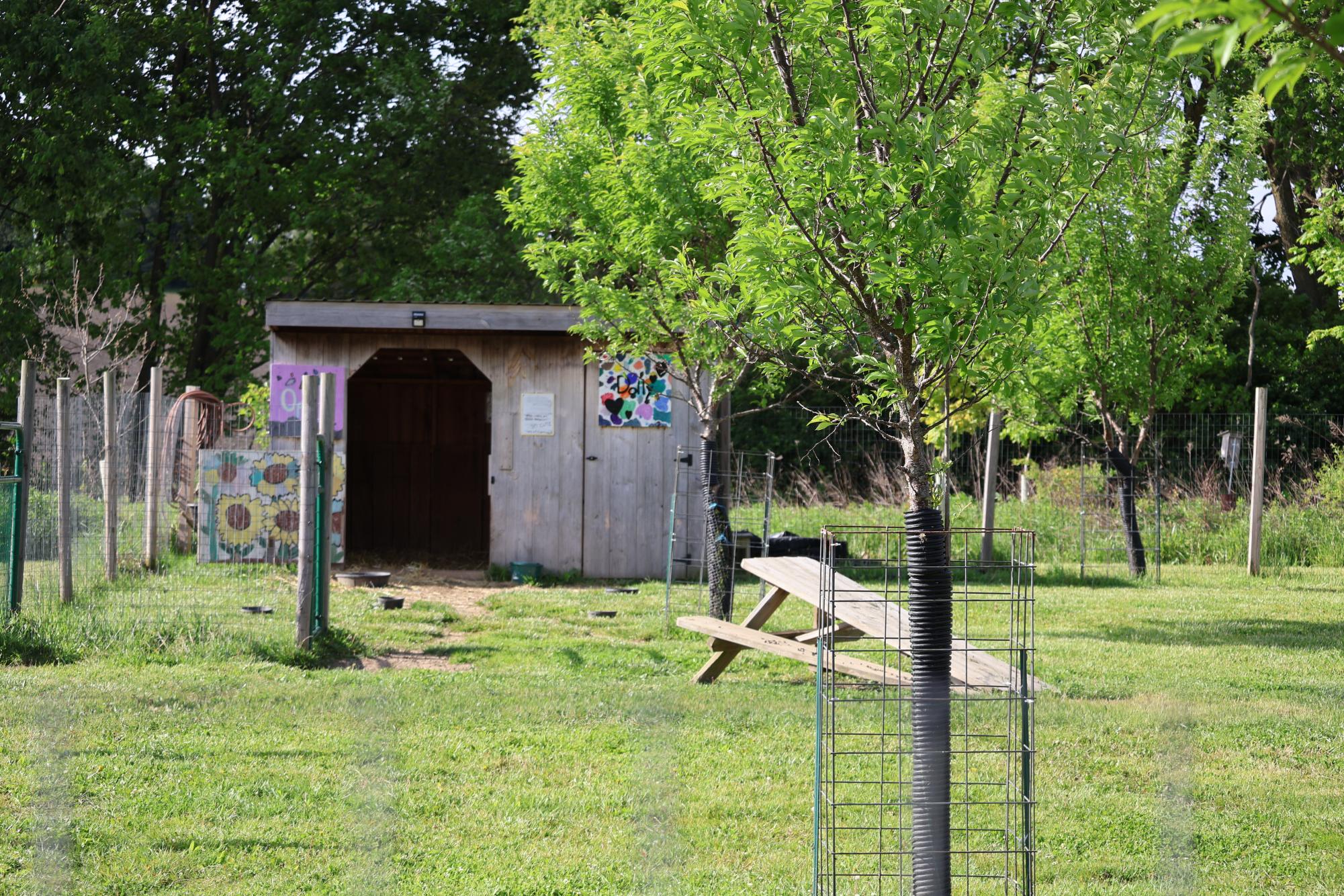This is the "Farm" of the Land Lab, this has been developed, over the years to have many animals and different farm animals for students to study.