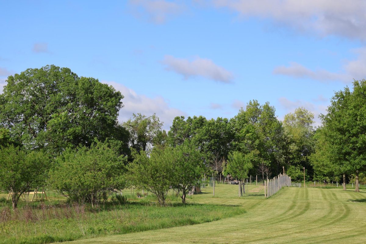 Trees that are in the surrounding area of the land lab. 